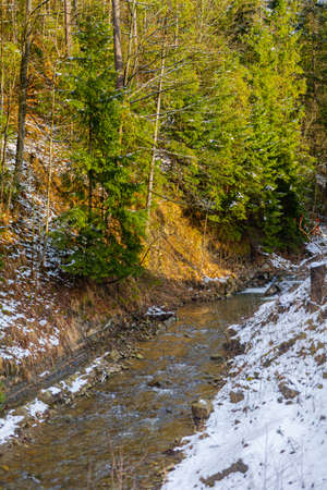 Mountain stream against forest in winterの写真素材