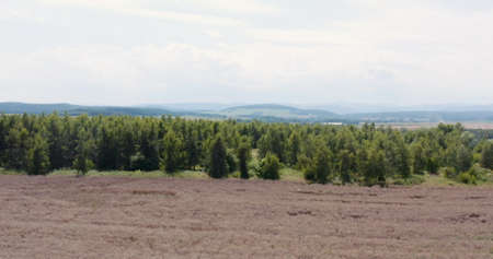 Aerial view of Farmland. Aerial View of Forest and Agriculture Fieldsの写真素材