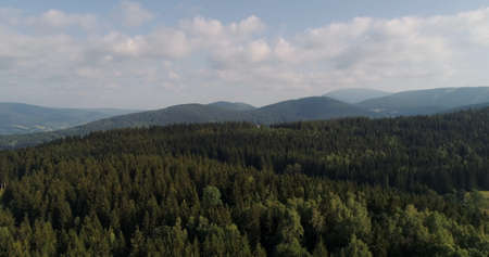 Beautiful View of Forest and Fields Aerialの写真素材