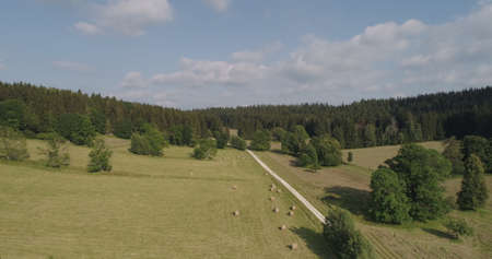 Beautiful View of Forest and Fields Aerialの写真素材