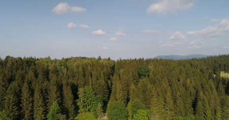 Beautiful View of Forest and Fields Aerialの写真素材