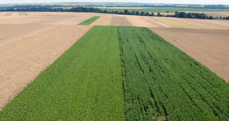 Agriculture Aerial Landscape Various Fields.の写真素材