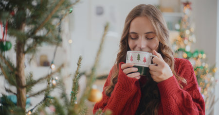 Woman Portrait Christmas Xmas Time Posingの写真素材