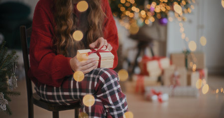 Smiling Positive Woman Christmas Portraitの写真素材