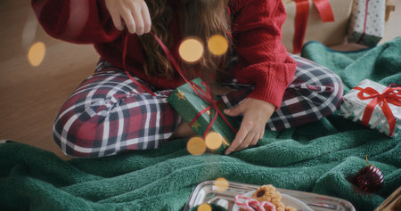 Smiling Positive Woman Christmas Portraitの写真素材