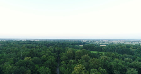 Flying over forest trees. Nature - Aerial Viewsの写真素材