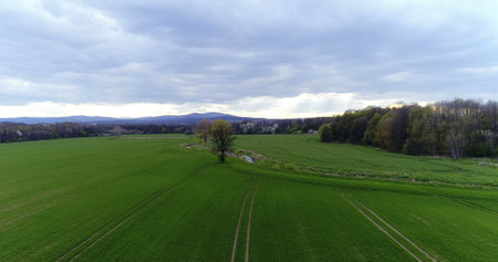 Fields with various types of agriculture 4Kの写真素材