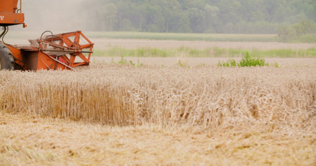 combine harvester harvesting wheat field agriculture