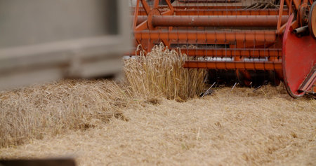 Combine Harvester working in Agriculture Fieldの写真素材