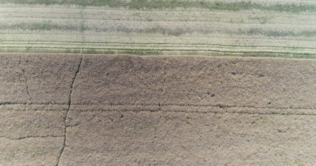 Machinery harvesting crops on fieldの写真素材