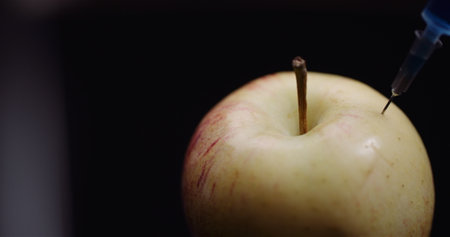 Food Genetic Modification - Syringle Injecting Liqquid in Apple. GMO Modification Concept.の写真素材