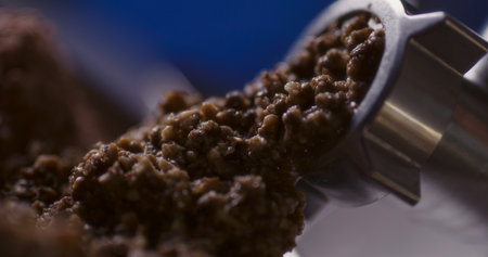 Grinding mushrooms in a grinderの写真素材