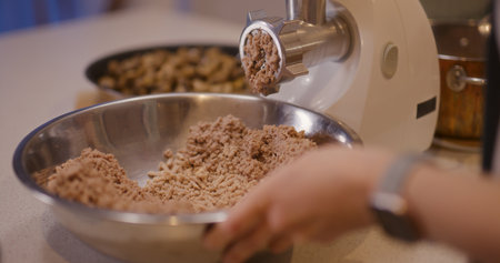 Process of grinding meat in electric mincerの写真素材