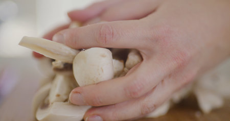 Close-up of sliced mushrooms being poured into a bowl by a chefの写真素材