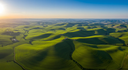Golden Hour Aerial: Lush Green Rolling Hills and Valleys with Long Shadows. Vibrant Agricultural Landscape and Serene Countryside at Sunrise.の素材