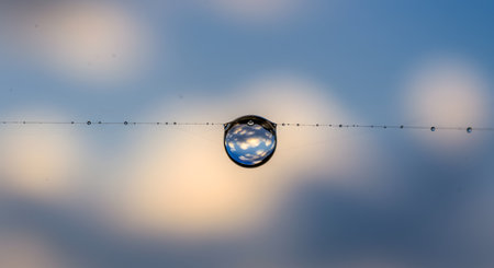 Sky Reflected in a Delicate Water Drop on a Spider Silk Threadの素材