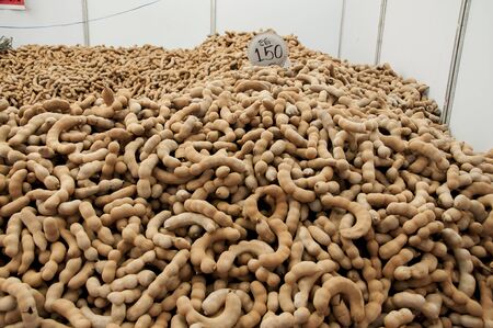 Heap of manarind on sale 150 baht per kilogram in Thailand のeditorial素材