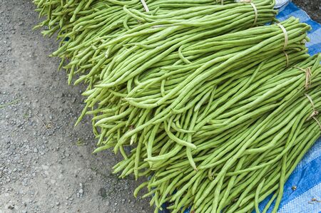 Heap of Yard Long Bean on Sale  at  Farmerの写真素材