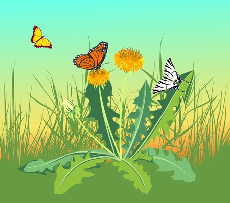three butterflies flying in a field near the dandelionsのイラスト素材