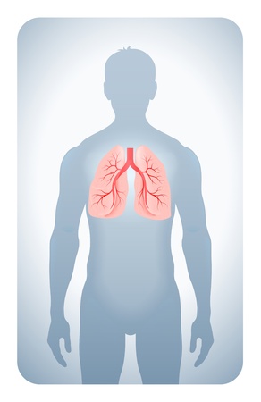 lungs highlighted on the silhouette of a manのイラスト素材
