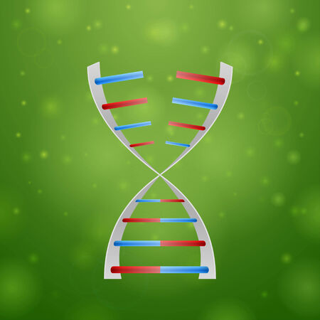 DNA and RNA on green backgroundのイラスト素材