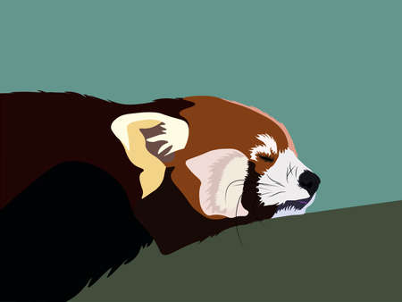 Sleeping red panda vector illustrationのイラスト素材