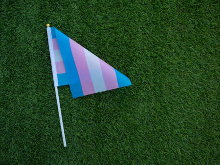 Transgender flag with green background and copy space. Transgender Visibility Day Celebration