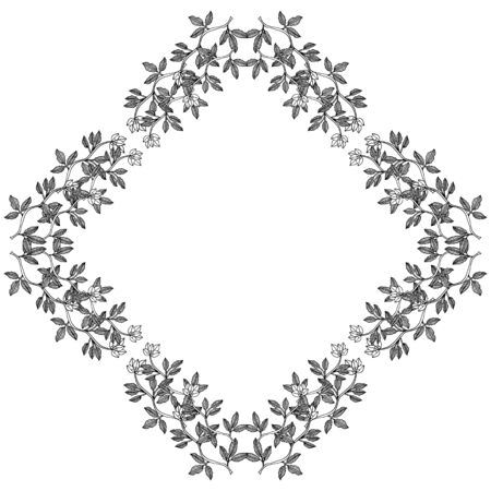 Illustraton of floral frame designのイラスト素材