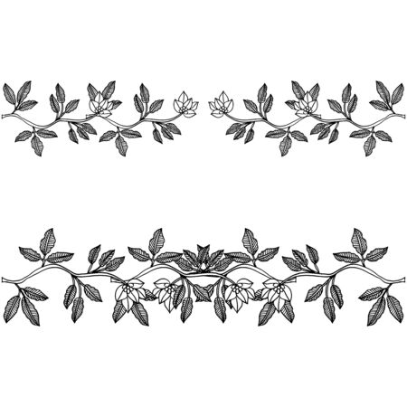 Illustraton of floral  designのイラスト素材