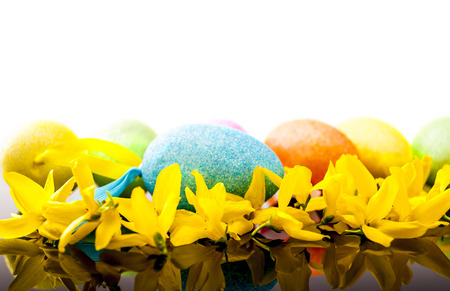 easter egg and yellow laburnum on black reflex background