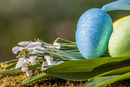 flower snowdrops and easter egg in forest in springの写真素材