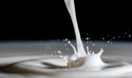 Milk splash and drop of milk on black backgroundの写真素材