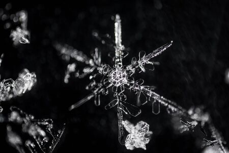 Real snowflake on black backgroun macro photographyの写真素材