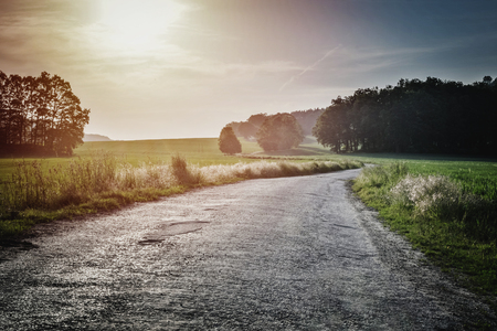 Green field and  road in  summer sunsetの写真素材