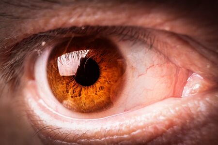 Brown human eye macro or close up photographyの写真素材