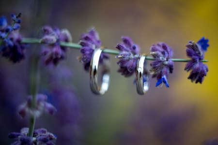 Beautiful jewel wedding rings closeup macro photographyの写真素材
