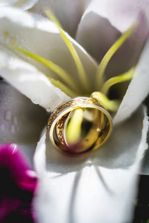 Beautiful jewel wedding rings closeup macro photography