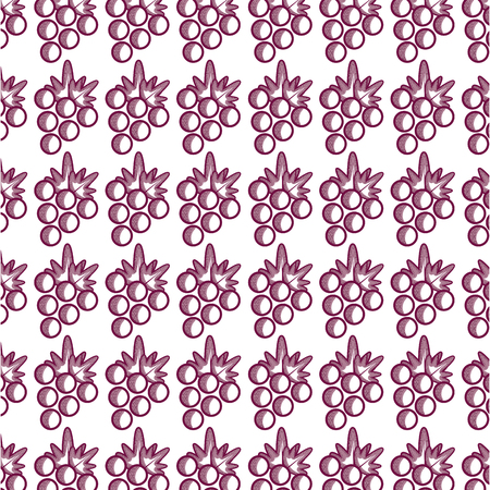 Wine grape fruit backgroundのイラスト素材