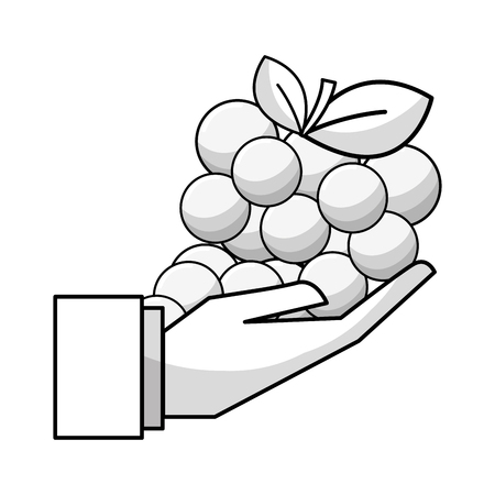 figure organic grape fruit in the hand iconのイラスト素材
