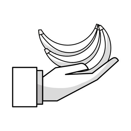 figure organic banana fruit in the hand iconのイラスト素材
