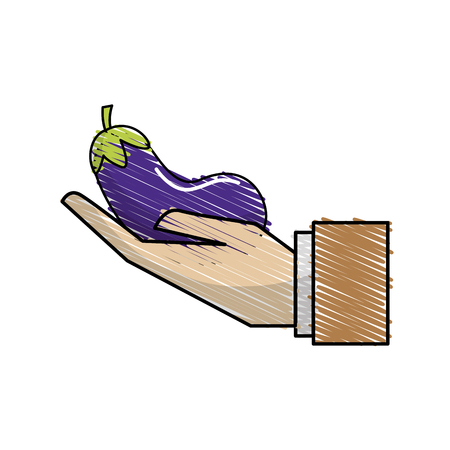 organic eggplant vegetable in the hand iconのイラスト素材