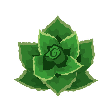 Fresh vegetables plants healthy food.のイラスト素材