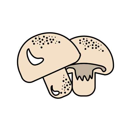 delicious fresh mushrooms organ foodのイラスト素材