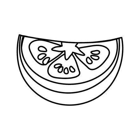 line fresh piece of tomato organ vegetableのイラスト素材