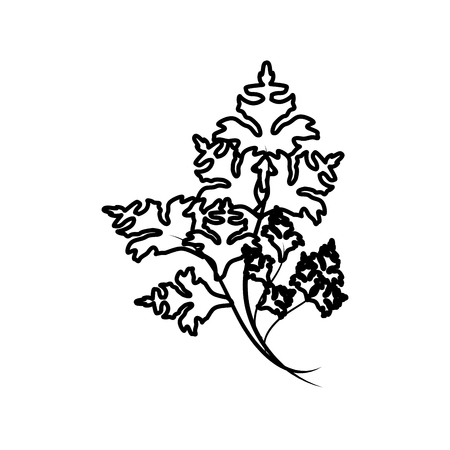 figure fresh onion leaves plants healthy foodのイラスト素材