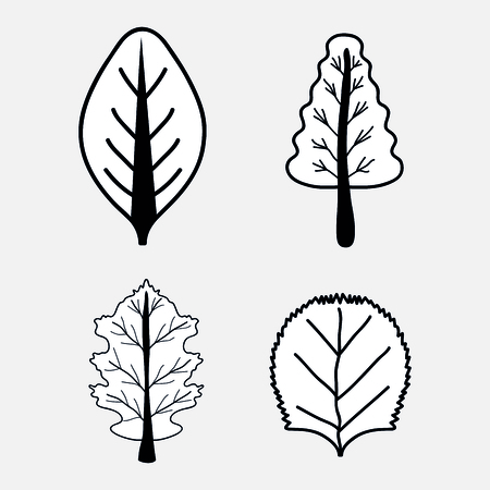 Nice set of trees with leaves, vector illustration designのイラスト素材