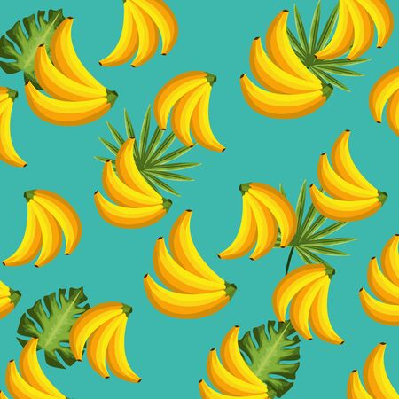delicious and exotic bananas fruits background, vector illustrationのイラスト素材