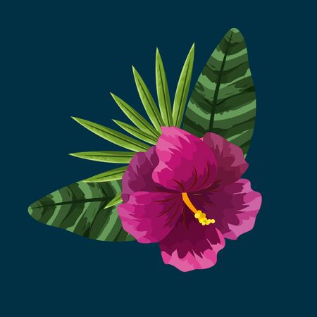 beauty and exotic flowers, roses and plantsのイラスト素材