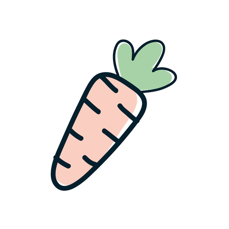 Health carrot vegetable icon, vector illustration designのイラスト素材