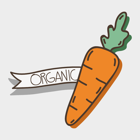 fresh carrot organ vegetable with ribbonのイラスト素材